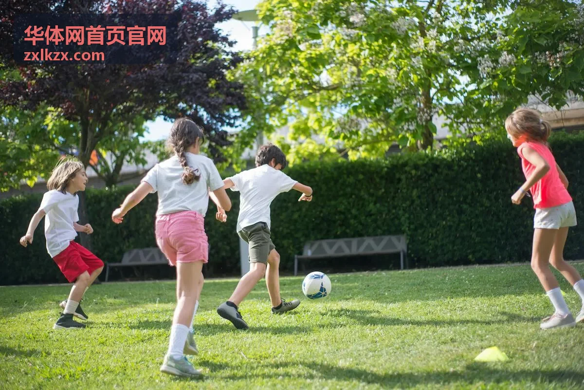 华体网首页官网场馆建设项目现场参考图